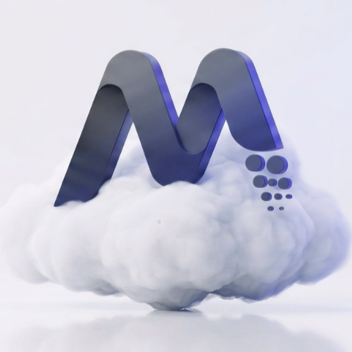 Modelo web FJD Trion